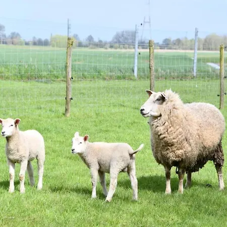 In Estartit With Sea Nieuwpoort