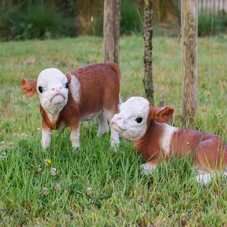 In Estartit With Sea * Nieuwpoort