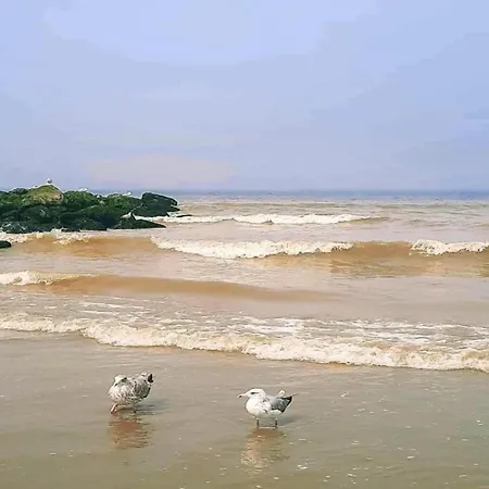 In Estartit With Sea *